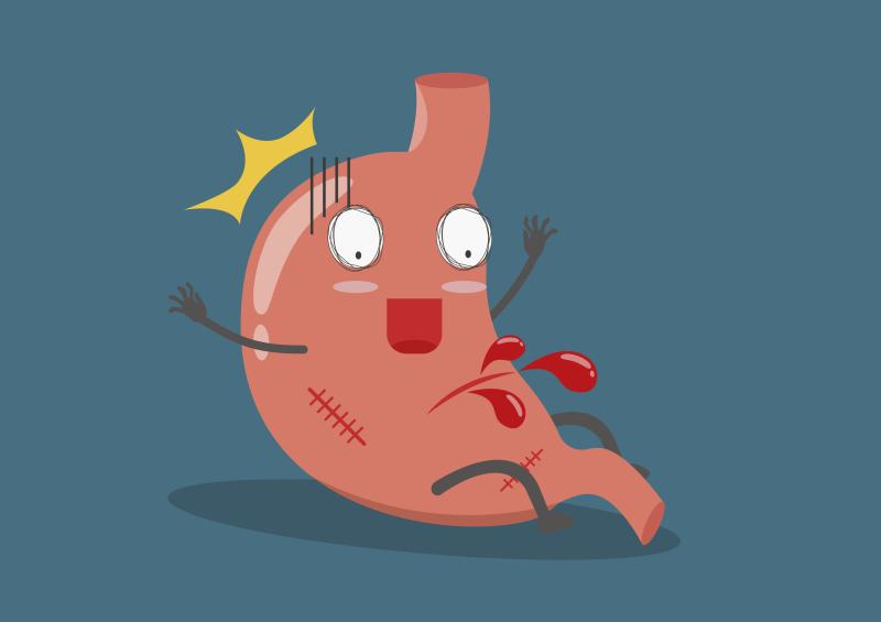 The phases of digestion