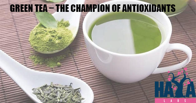 Green tea – The champion of antioxidants